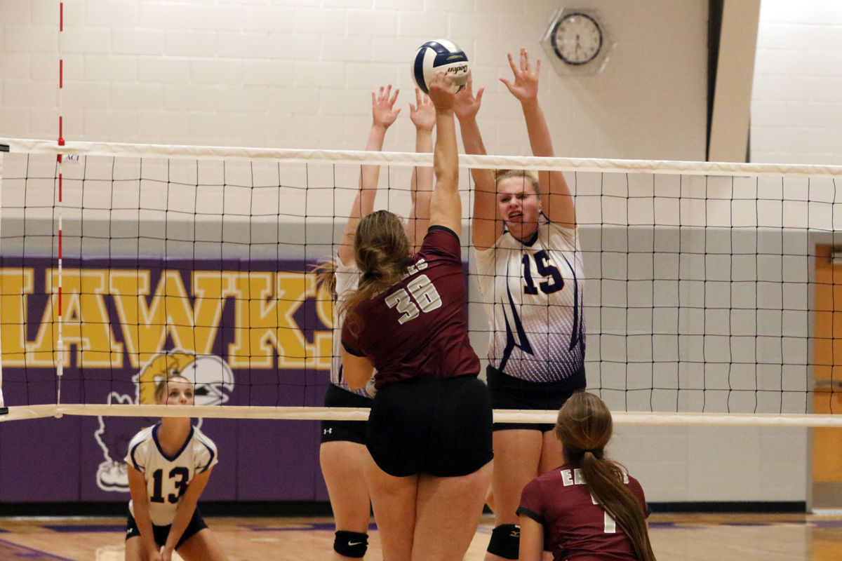 Hampton VB Tri (1).JPG